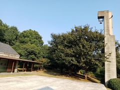 -美丽洲堂