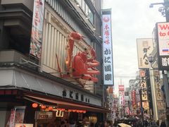-蟹道乐(道顿堀本店)
