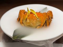 -觀芷隐轩