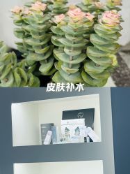 -Fancy梵汐·轻奢量肤定制