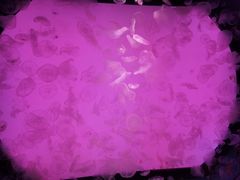 -沈阳海洋探索中心