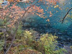 -叠溪松坪沟景区