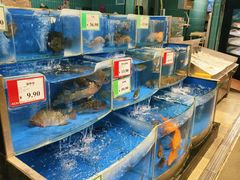 -AEON永旺(东方宝泰店)