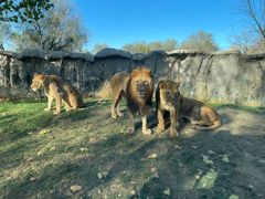 -北京野生动物园