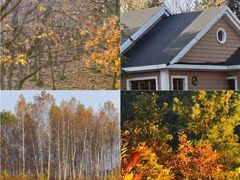 -五营红松林海景区