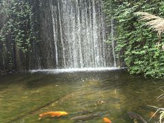 -千岛湖东南湖区