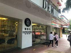 -DEM缔怡美科技美容