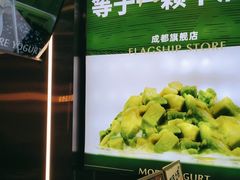 -茉酸奶(春熙路店)