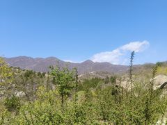 -白水寺森林公园