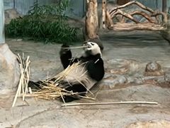 -海南热带野生动植物园
