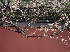 -柳莺湖上·湖景餐厅·江南菜(西湖店)