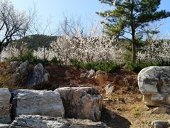 -北京雁栖湖国际会展中心