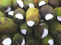 -百果园PAGODA(松佛路店)