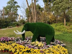 -南山植物园
