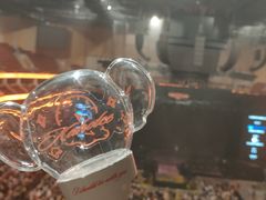 -宝能国际体育演艺中心