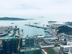 -柴犬小屋·柴餐厅·狗咖食堂(金鼎广场店)