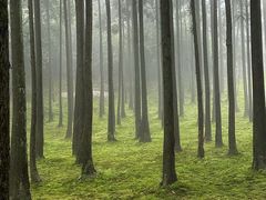 -玉苍山国家森林公园
