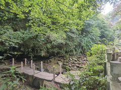 -碧峰峡风景区