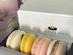 -BLACKSWAN黑天鹅(环球店)