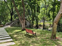 -青龙山国家森林公园