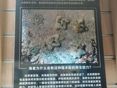-青岛海底世界-水族馆