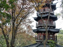 -上海佘山国家森林公园西佘山园