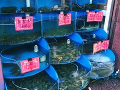 水产区-北戴河庆山饭店·海鲜砂锅粥(北戴河黑石路店)