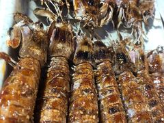 皮皮虾-兆辉木炭海鲜烧烤·海鲜小炒