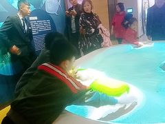 -贝林大翅鲸简餐厅(国家海洋博物馆店)