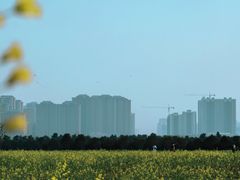 -汉长安城未央宫国家考古遗址公园