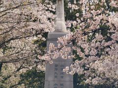 -武汉大学-樱园