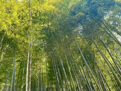 -安吉涵田度假村·水榭居中餐厅