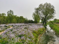 -东郊湿地公园