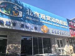 -北京观赏动物医院·24小时大型综合·猫专科·异宠专科