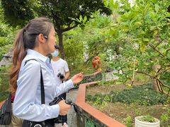 -广州神农草堂中医药博物馆