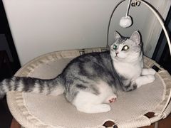 -南拳十三姨·潮汕砂锅粥·粤菜(西单大悦城店)