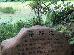 -东山香樟园
