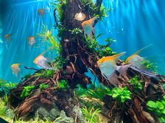 景点-海合安武汉极地海洋公园
