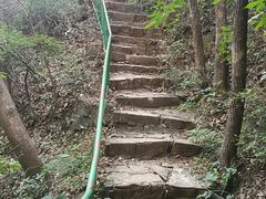 -老象峰