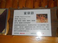 景点-上海大自然野生昆虫馆