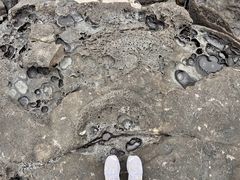 -硇洲岛旅游区