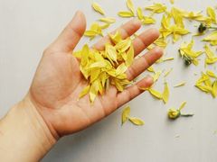 -维乐口腔医院(星海湾分院)