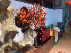 -福照楼汽锅鸡·云南菜(护国路店)