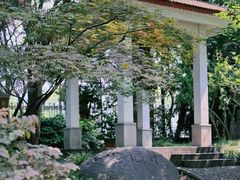 -复旦大学本部-食堂