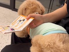 -瑞派康怡24h宠物医院·犬猫医疗中心·微创绝育(瑞景分院)