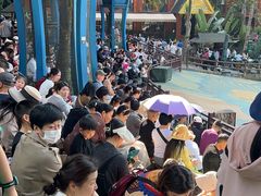 -西双版纳原始森林公园