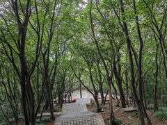 -紫金山山顶公园