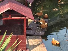 -水绘园