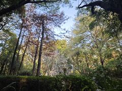 -深圳国际园林花卉博览园