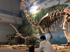 -自贡恐龙博物馆